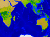 Indian Ocean Vegetation 1600x1200
